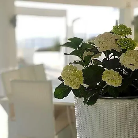 White Club