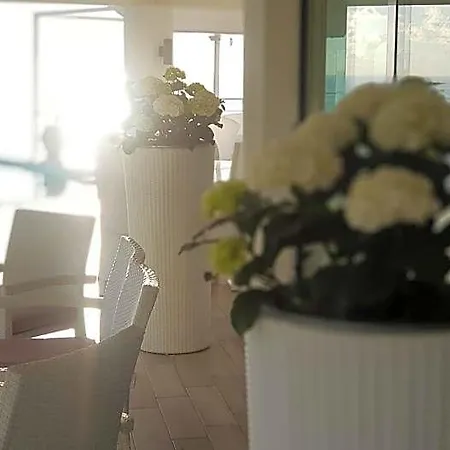 White Club Belvedere Marittimo