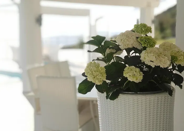 度假村 White Club 贝尔韦代雷